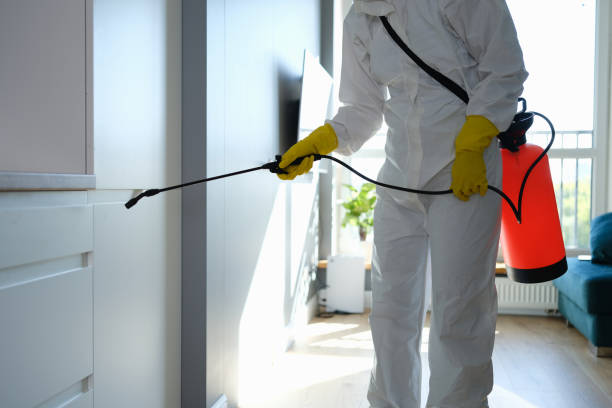 Best Attic Mold Removal  in Saegertown, PA